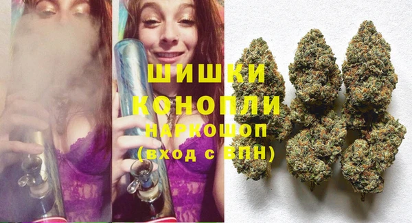 гидра Белокуриха