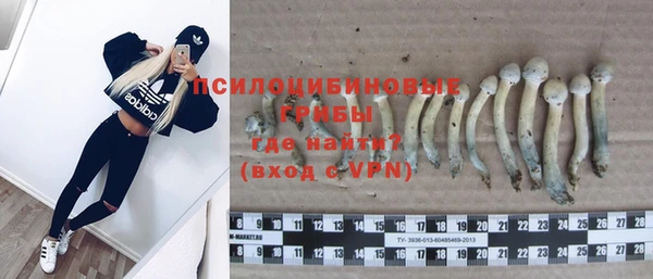 гидра Белокуриха