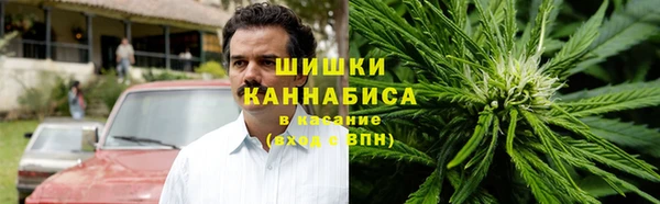 гидра Белокуриха