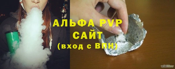 гидра Белокуриха