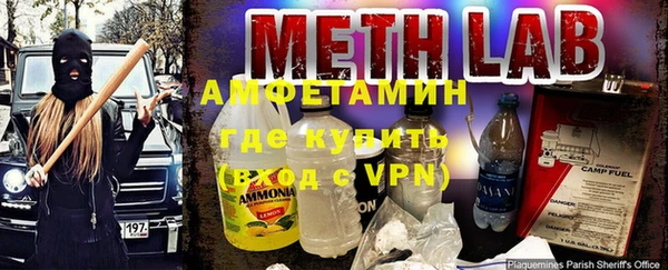 гидра Белокуриха