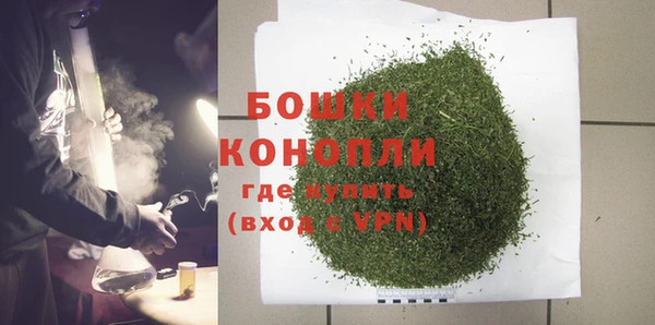 гидра Белокуриха