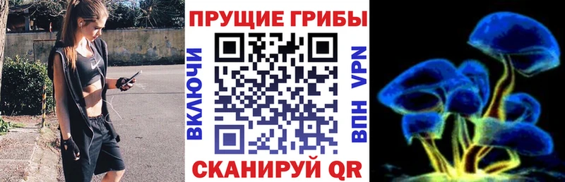 кракен tor  Рудня  Галлюциногенные грибы Psilocybe  закладка 